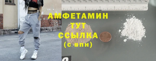 молекула духа Верхний Тагил
