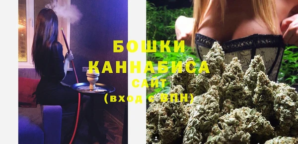молекула духа Верхний Тагил