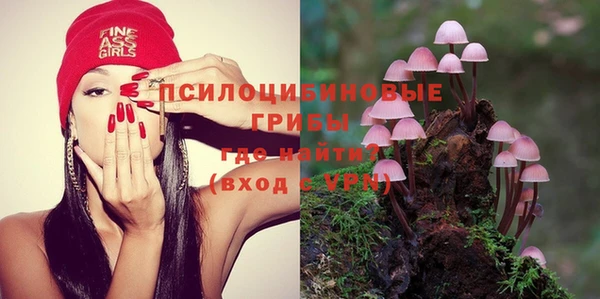 молекула духа Верхний Тагил