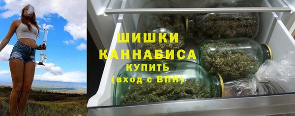 молекула духа Верхний Тагил