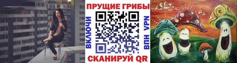 Купить  Богучар  Галлюциногенные грибы Psilocybine cubensis 