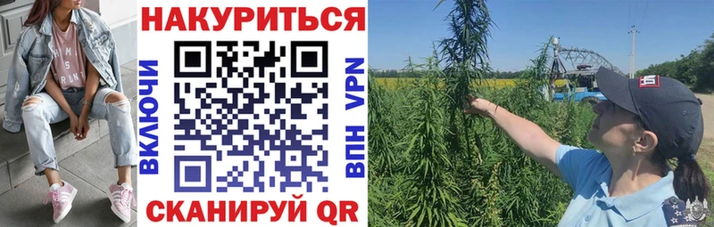 Шишки марихуана Bruce Banner Богучар